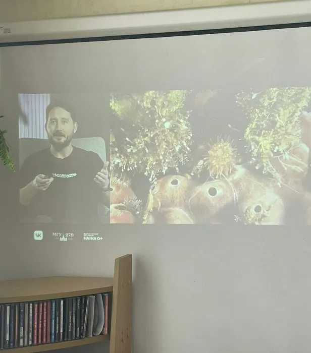 -5274153895016393114_1м21