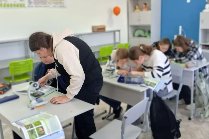 WhatsApp Image 2025-01-25 at 16.39.56 (1)