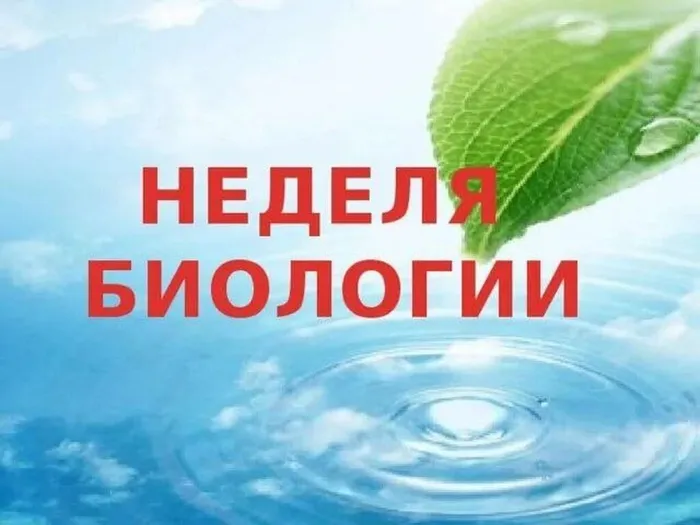 EgyogJ3Z_5Lg7stPhZd3fOiTRfdM2xaAVOchGOa_nbGWrcCiMyn1EdJg79bSBo1gkmIMas-82UIXsAx6uORCtu29