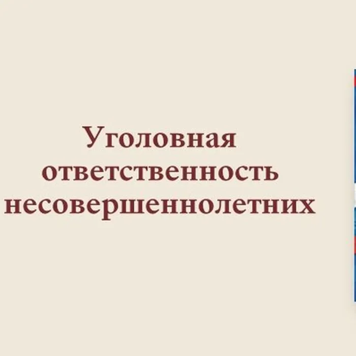 УГОЛОВНАЯ ОТВЕТСТВЕННОСТЬ НЕСОВЕРШЕННОЛЕТНИХ В РОССИЙСКОЙ ФЕДЕРАЦИИ