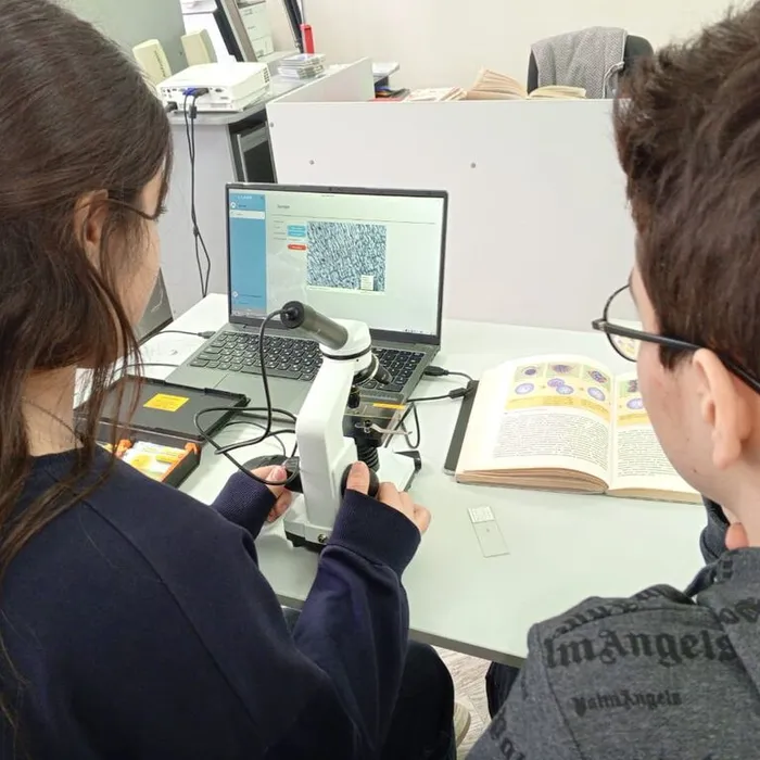 Наблюдение за процессом деления клетки