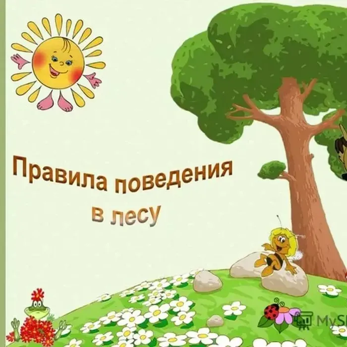 Правила нахождения в лесу детям
