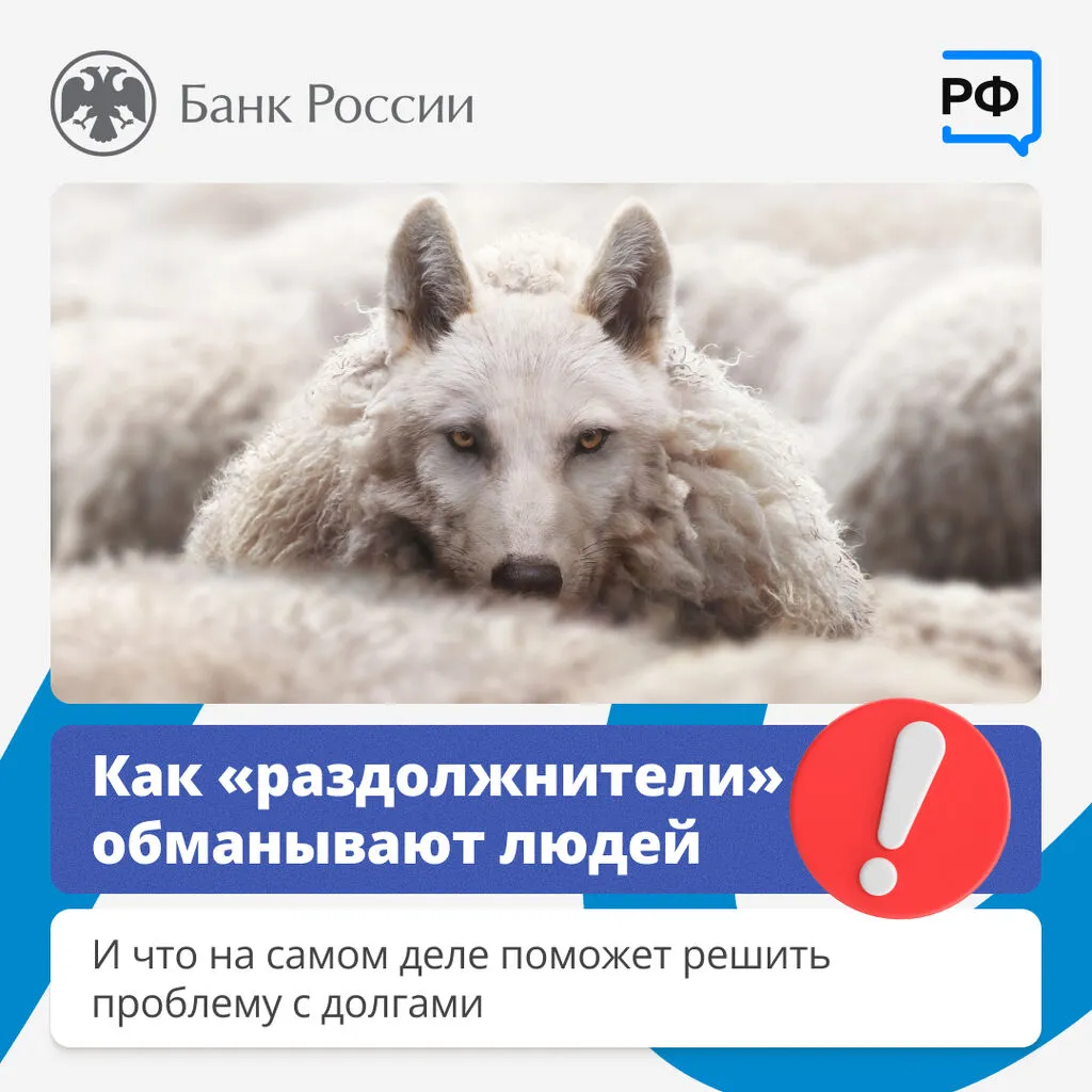 раздолжнители 1