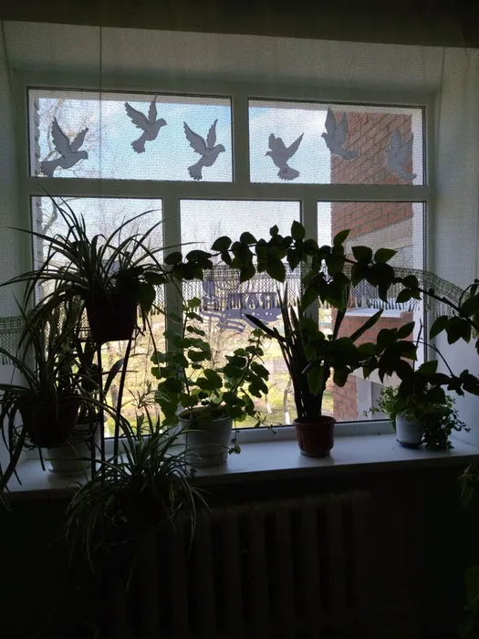 IMG_20220429_104307 - копия.jpg