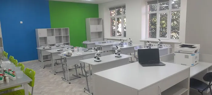 химия биология акцентная стена