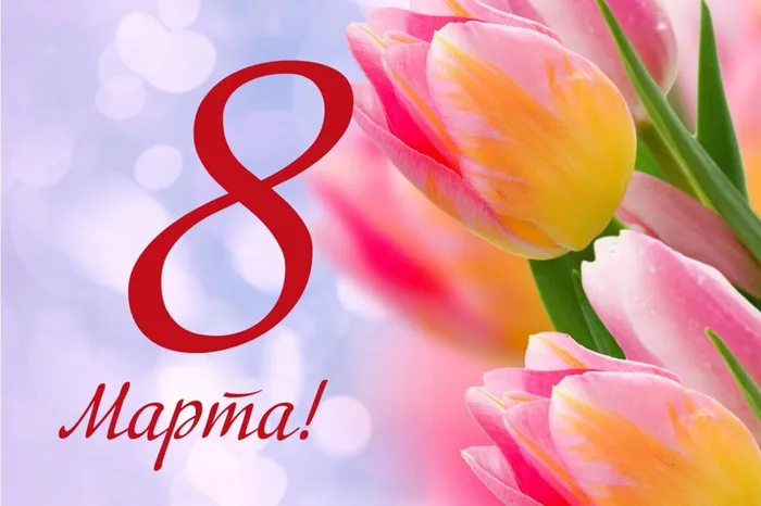 ec9ea5b768c22f8456bec00092e1fcdc