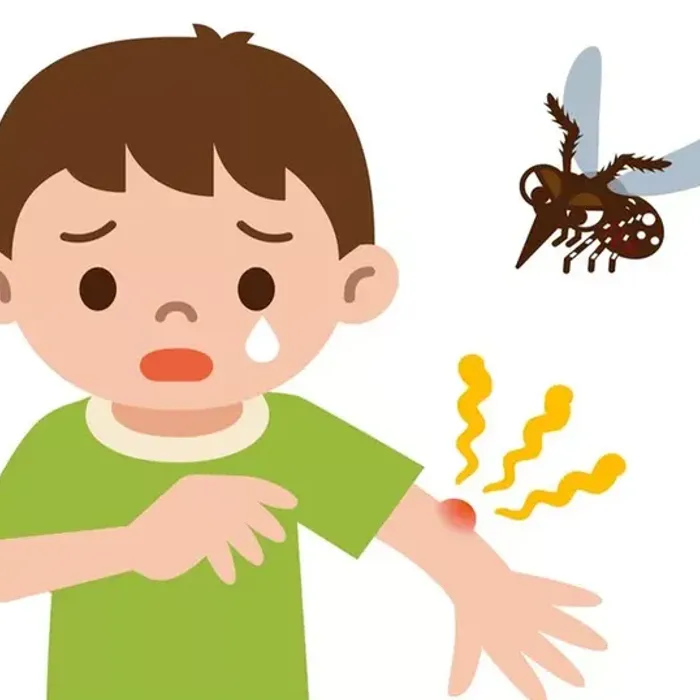 Укусы насекомых