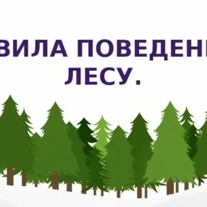 Правила безопасного поведения в лесной зоне