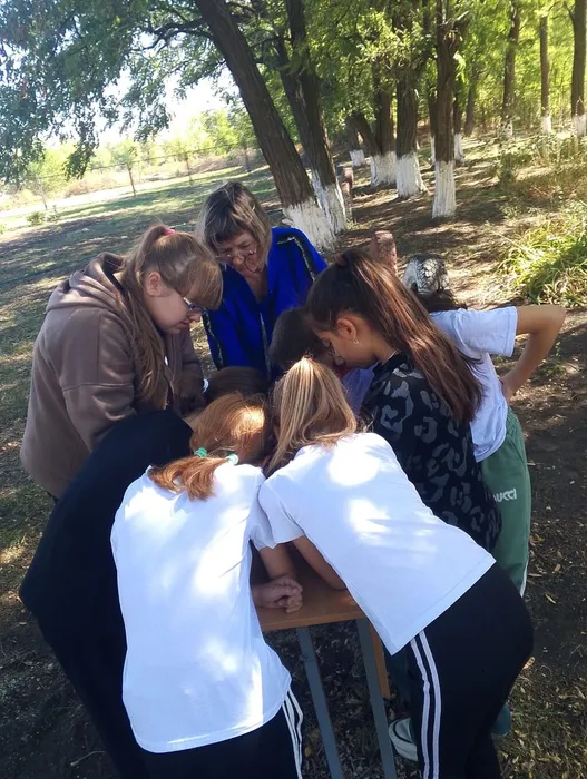 Изображение WhatsApp 2024-09-11 в 11.04.56_43b00930