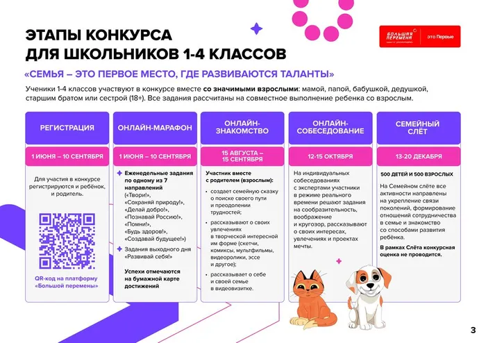 24-160_382_25_04_2024_Всероссийский_конкурс__Большая_Перемена__5_сезон (1)_page-0003